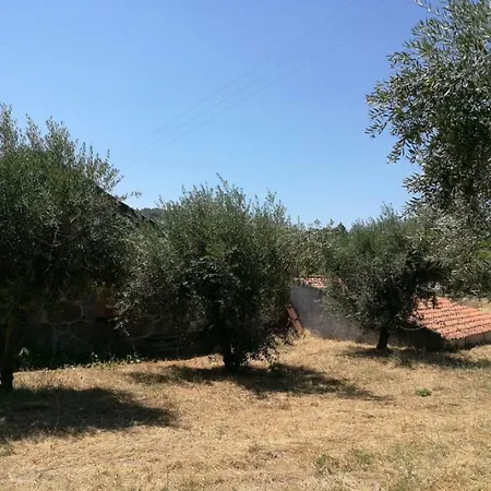 Ferienhaus Quinta Do Prazo Belmonte (Castelo Branco)